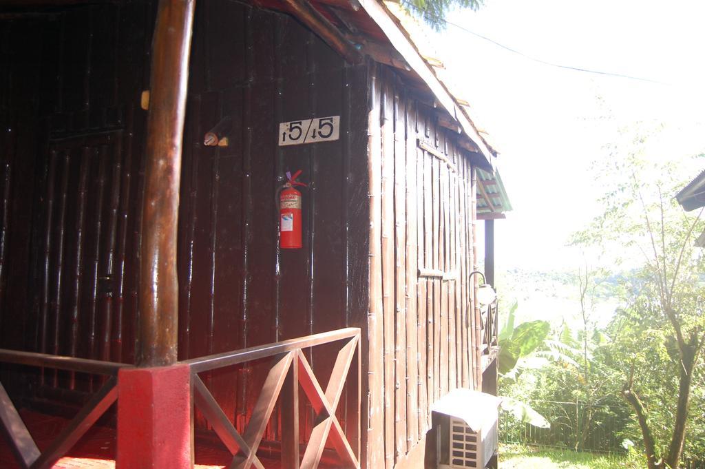 פוארטו איגואסו Panambi Lodge B&B מראה חיצוני תמונה