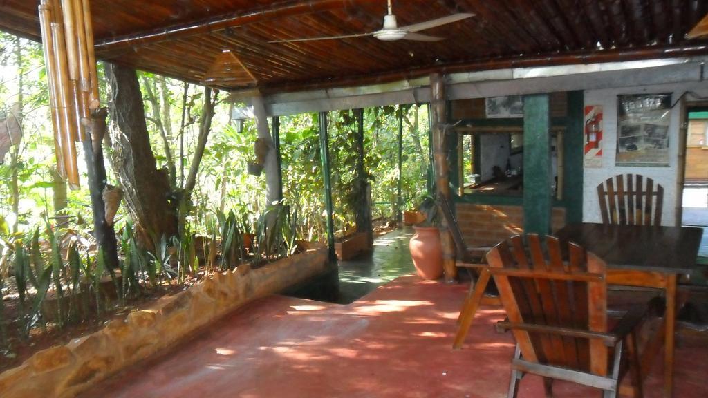 פוארטו איגואסו Panambi Lodge B&B מראה חיצוני תמונה