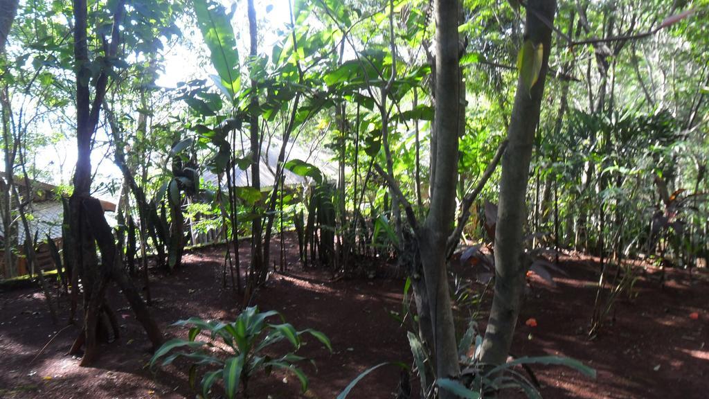 פוארטו איגואסו Panambi Lodge B&B מראה חיצוני תמונה