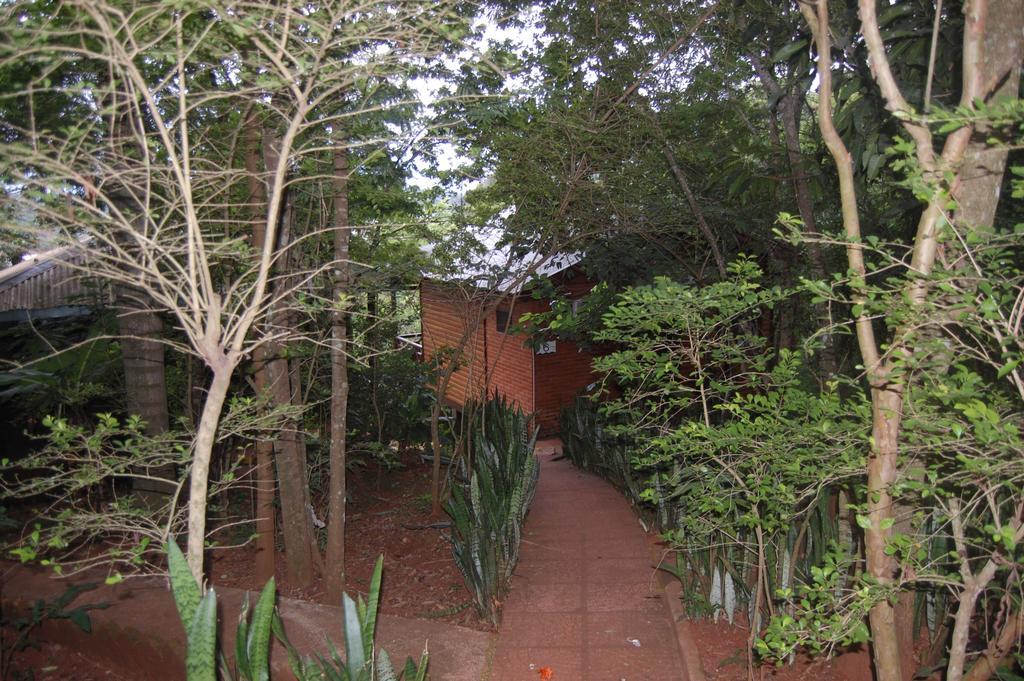 פוארטו איגואסו Panambi Lodge B&B מראה חיצוני תמונה
