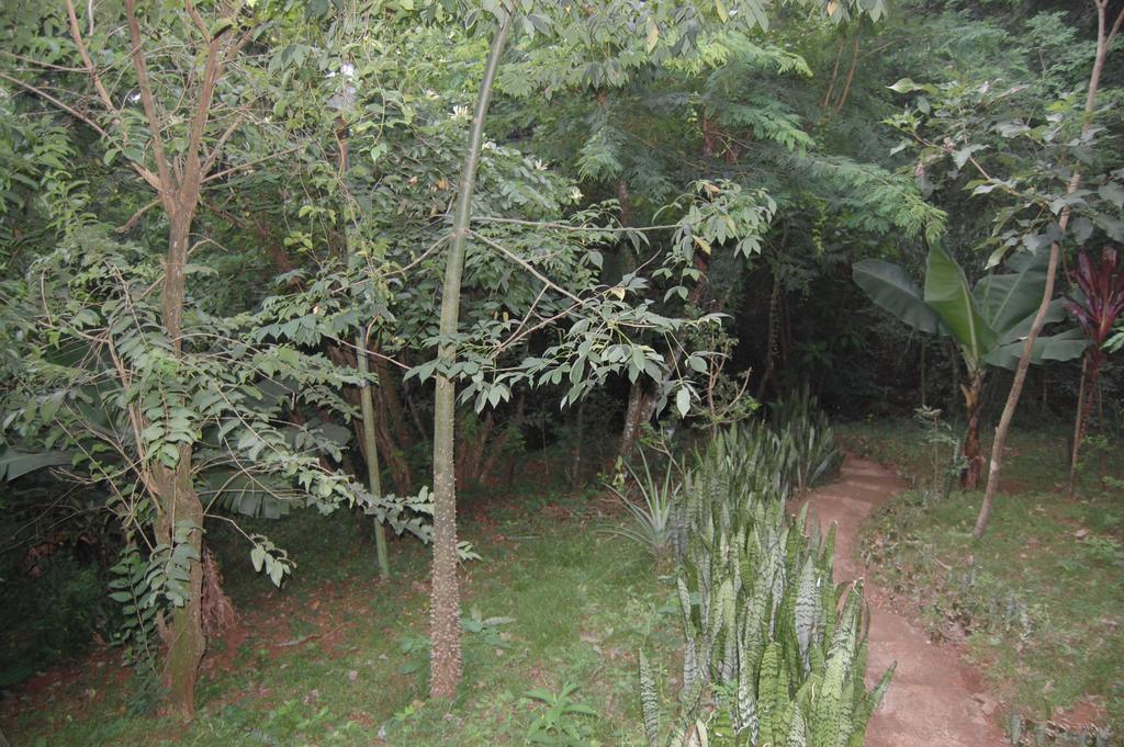 פוארטו איגואסו Panambi Lodge B&B מראה חיצוני תמונה