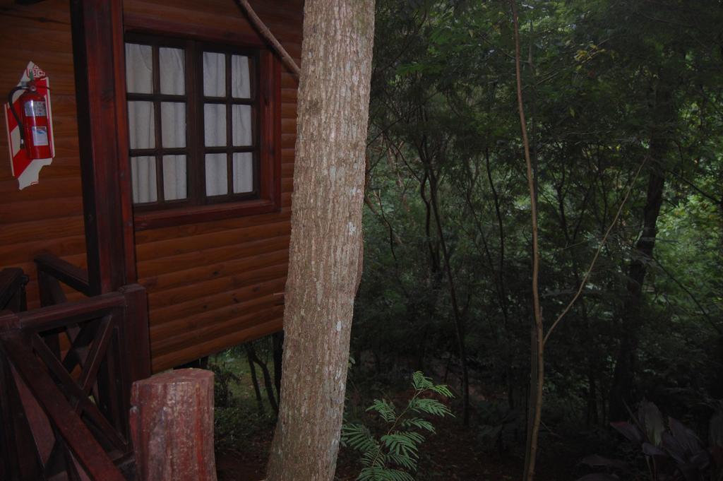 פוארטו איגואסו Panambi Lodge B&B מראה חיצוני תמונה