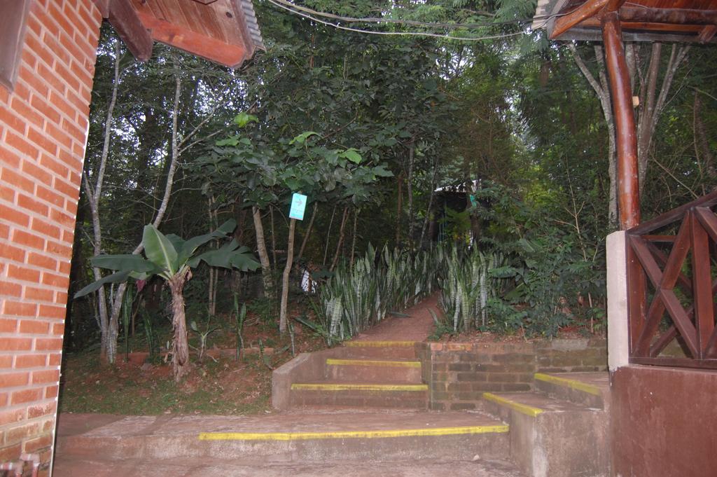 פוארטו איגואסו Panambi Lodge B&B מראה חיצוני תמונה