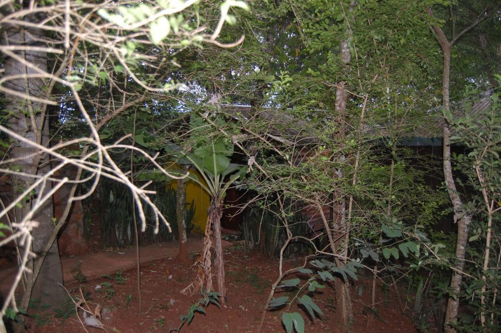 פוארטו איגואסו Panambi Lodge B&B מראה חיצוני תמונה