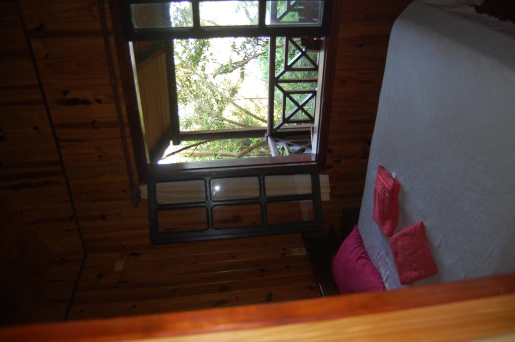 פוארטו איגואסו Panambi Lodge B&B מראה חיצוני תמונה