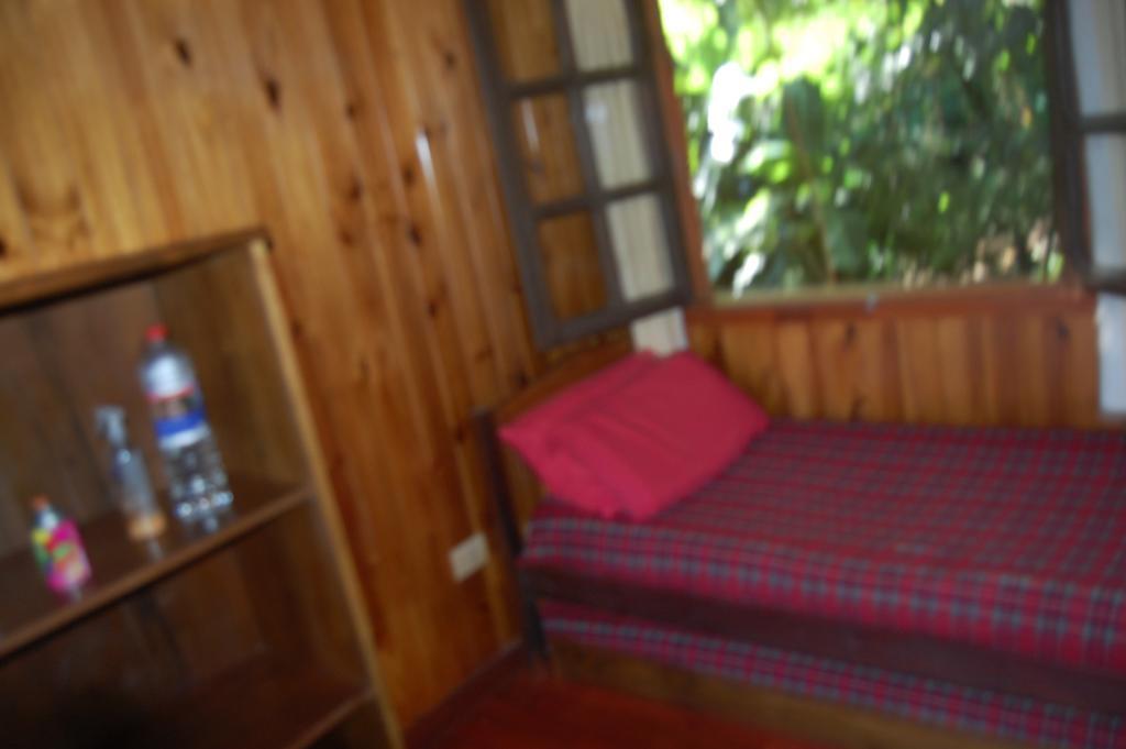 פוארטו איגואסו Panambi Lodge B&B מראה חיצוני תמונה