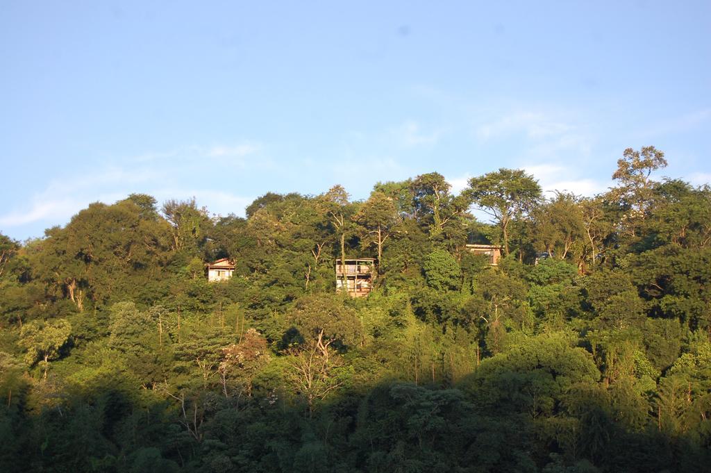 פוארטו איגואסו Panambi Lodge B&B מראה חיצוני תמונה