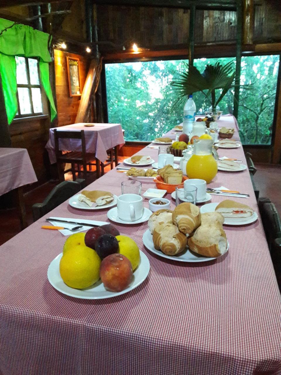 פוארטו איגואסו Panambi Lodge B&B מראה חיצוני תמונה